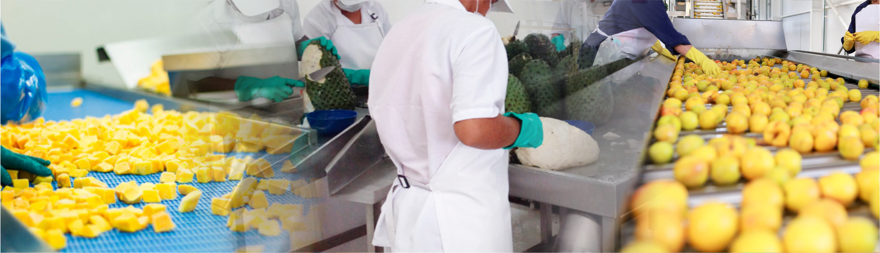 Costabell Desarrollo de productos alimenticios a base de fruta y sus derivados con estándares de calidad